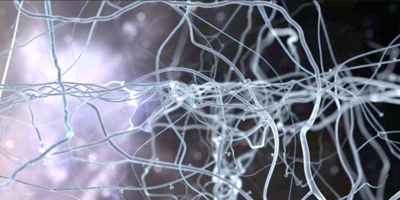 ScreenShot_2025-10-23_155508_600