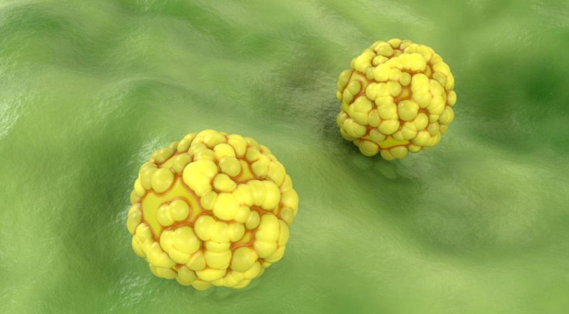 ScreenShot_2025-10-23_160033_262