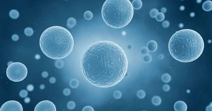 ScreenShot_2025-10-23_172937_091