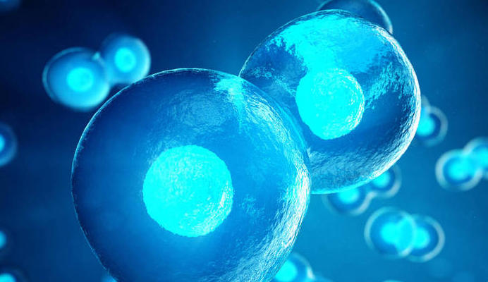 ScreenShot_2025-10-23_173041_298