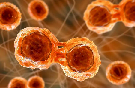 ScreenShot_2025-10-23_173140_251