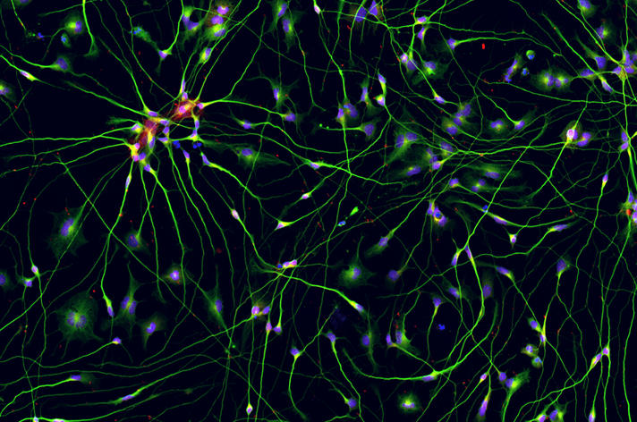 ScreenShot_2025-10-23_173319_303