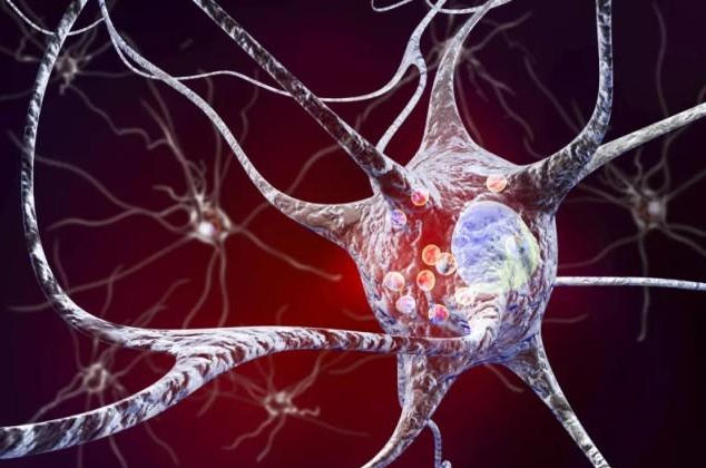 ScreenShot_2025-10-23_173415_796