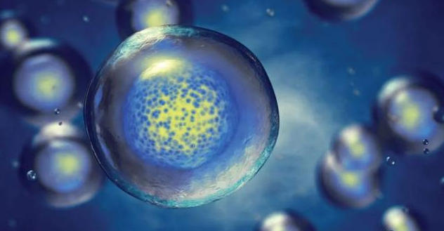 ScreenShot_2025-10-23_173750_323