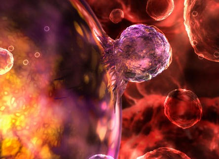 ScreenShot_2025-10-23_173917_449