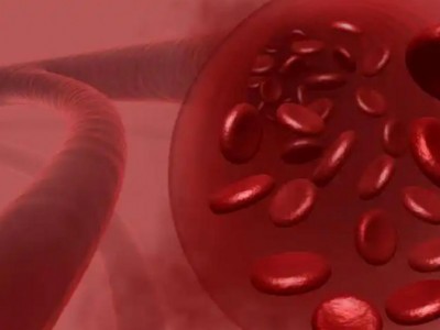 造血干细胞:生命之源,健康守护者