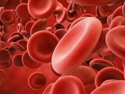 cell子刊:不止是骨髓,肠道中也有造