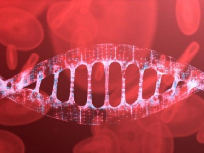 造血干细胞的临床应用及其研究进展