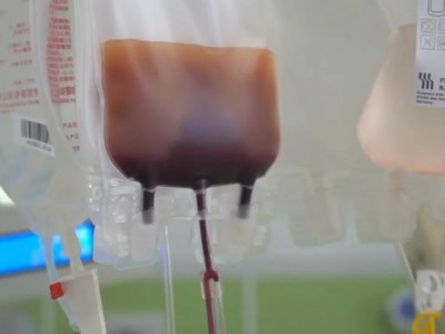 捐献造血干细胞 让"希望的种子"生根