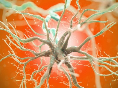 #神经干细胞# 神经干细胞的应用 神