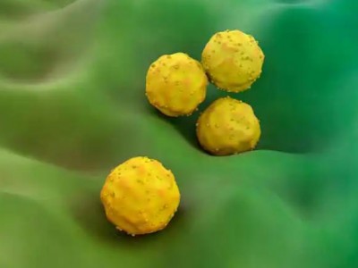 精子细胞或精子的三维解剖模型在绿